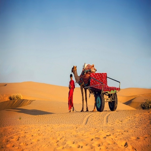 Swarnambigai Travels