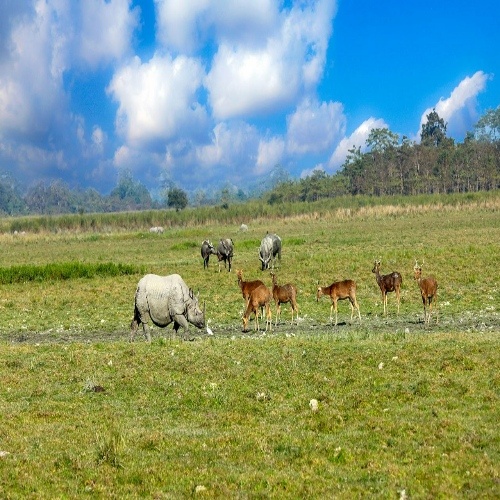 Swarnambigai Travels